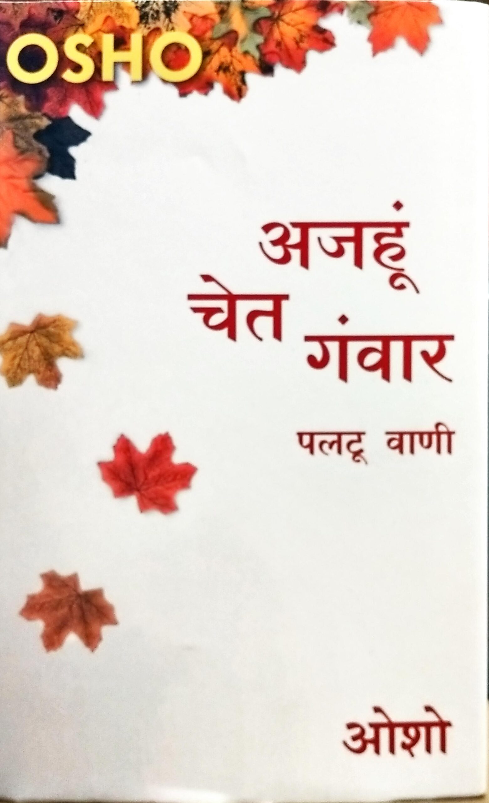 Ajhun Chet Ganwar
