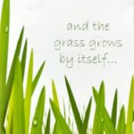 AND THE GRASS GROWS BY ITSELF