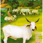 GAU KA GAURAV