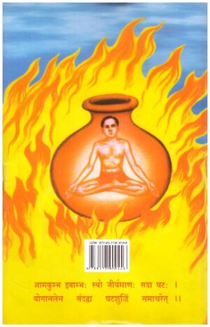 YOG VIDYA