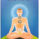 YOG VIDYA