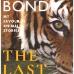 THE LAST TIGER