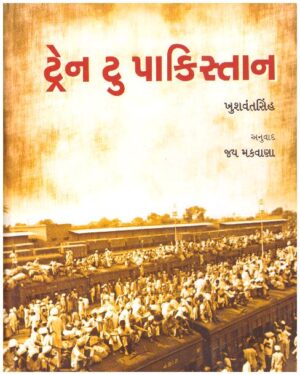 TRAIN TO PAKISTAN