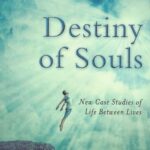 DESTINY OF SOULS
