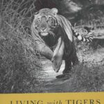 LIVING WITH TIGERS