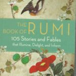 RUMI 105 STORIES AND FABLES THAT ILLUMINE,DELIGHT,AND INFORM