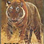 TIGER VALMIK FIRE THAPAR