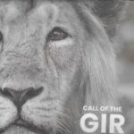 CALL OF THE GIR