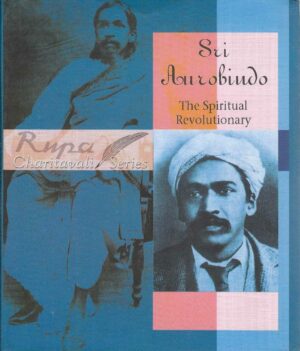 THE SPIRITUAL REVOLUTIONARY
